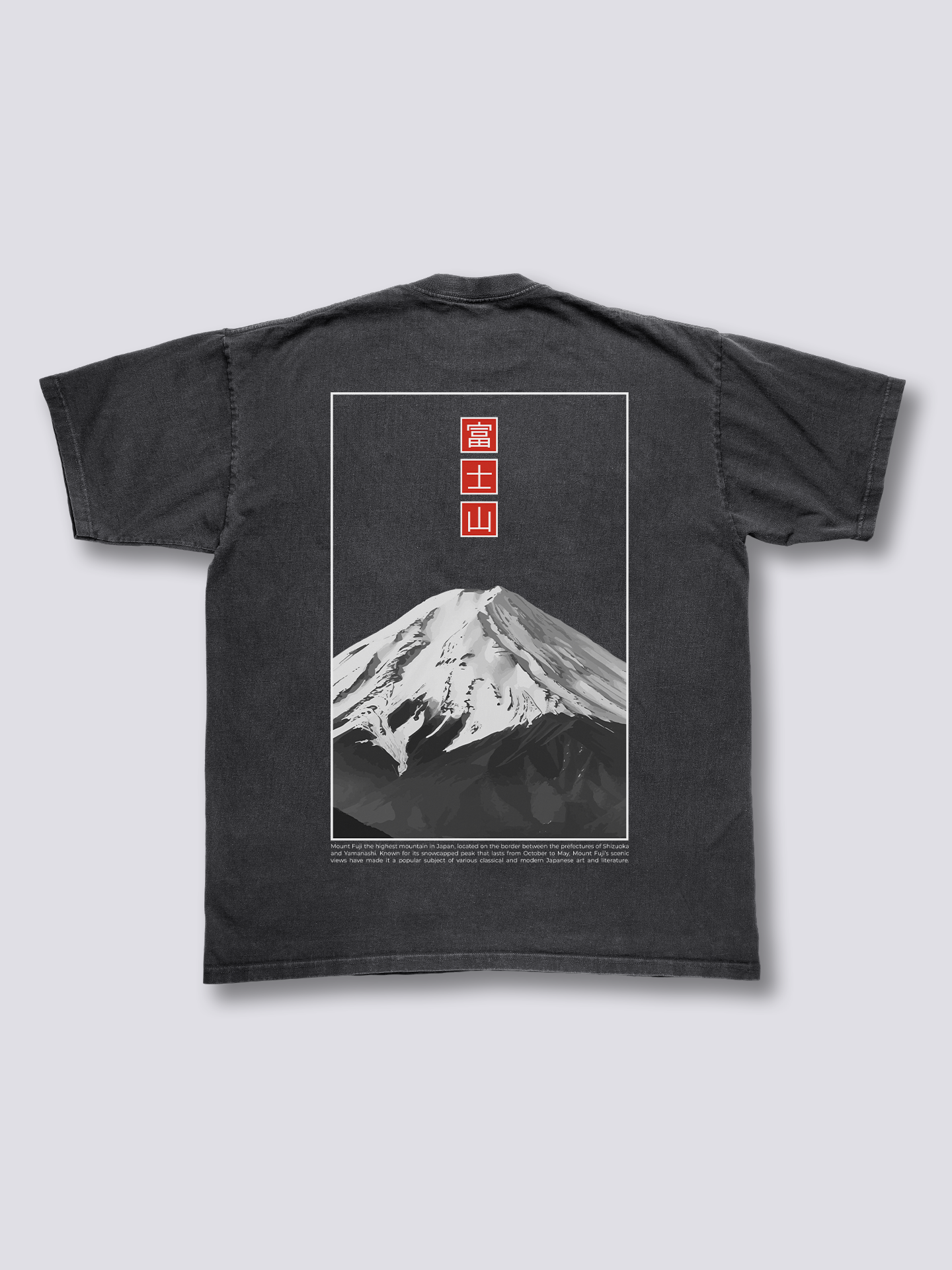 Fuji Minimalism Vintage T-Shirt